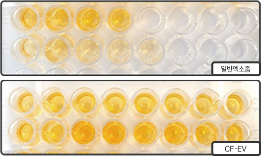 대량생산 결과 색상비교